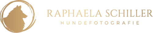 Logo_Raphaela-Schiller-Gold