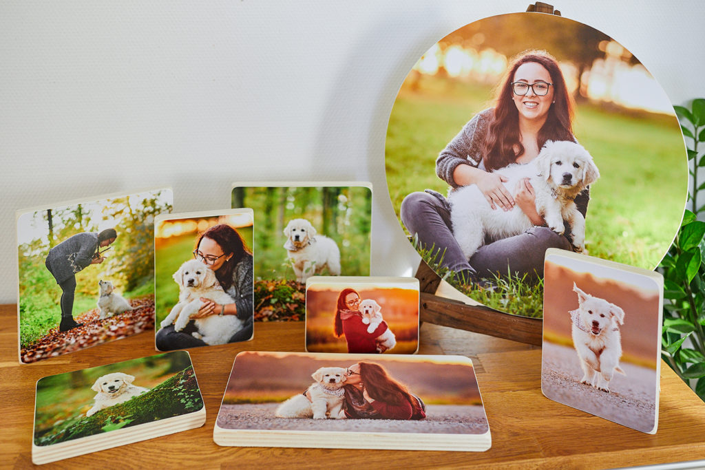 Raphaela Schiller Hundefotografie Tierfotografie Fotoshooting Hund Baden Württemberg Schweiz Lörrach Freiburg Basel Zürich