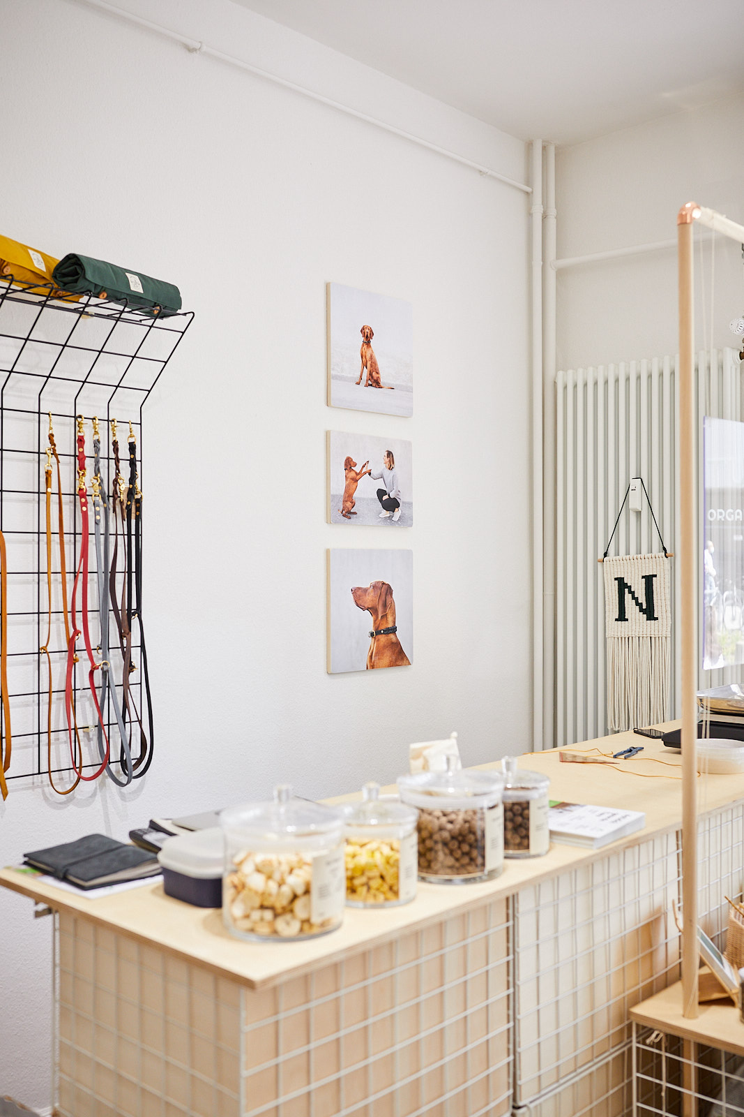 Lörrach Naturahund Organic Dog Store Nachhaltigkeit Hundefotografie Tierfotografie Fotoshooting mit Hund