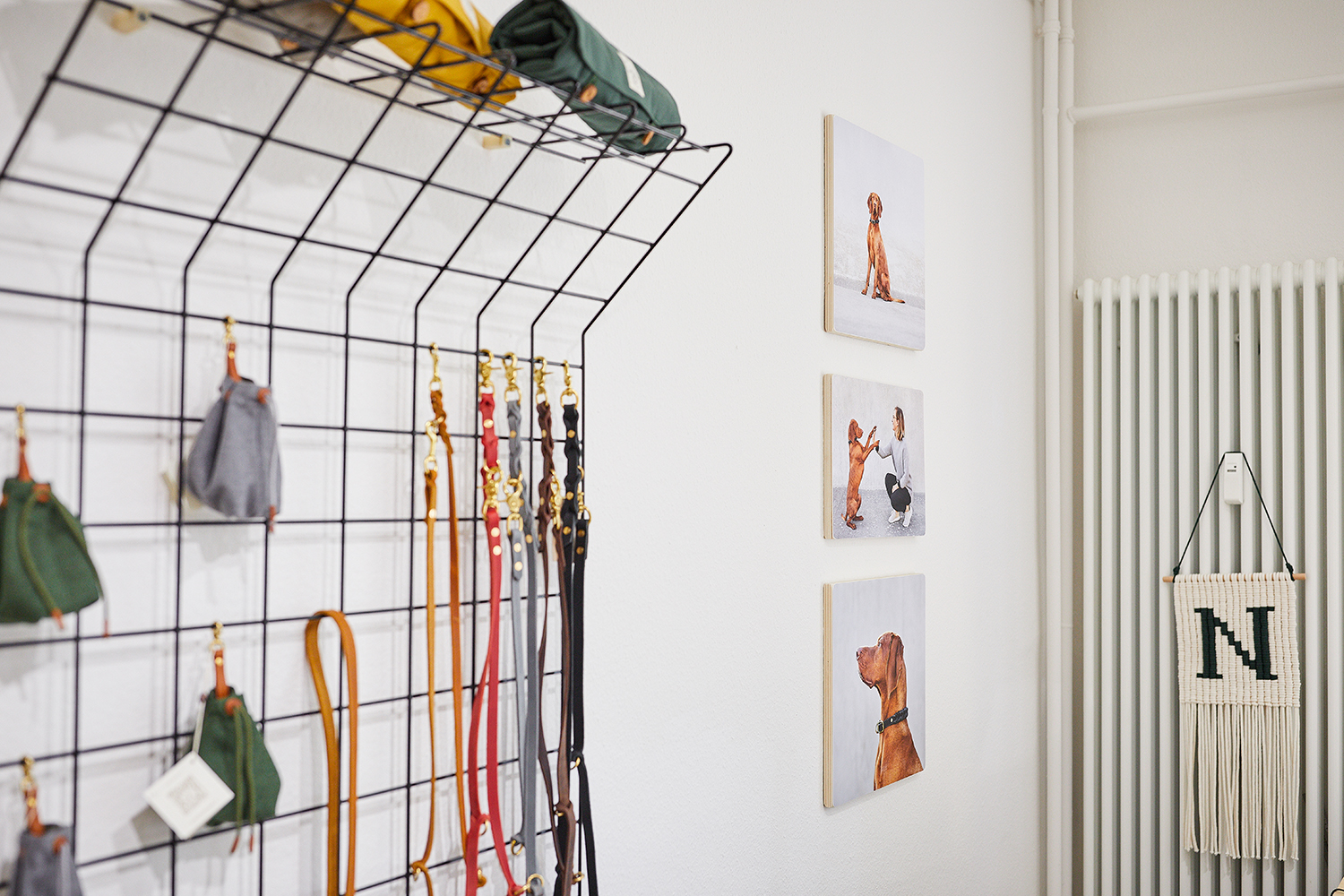 Raphaela Schiller Hundefotografie Tierfotografie Fotoshooting Hund Baden Württemberg Schweiz Lörrach Freiburg Basel Zürich Naturahund Organic Dog Store