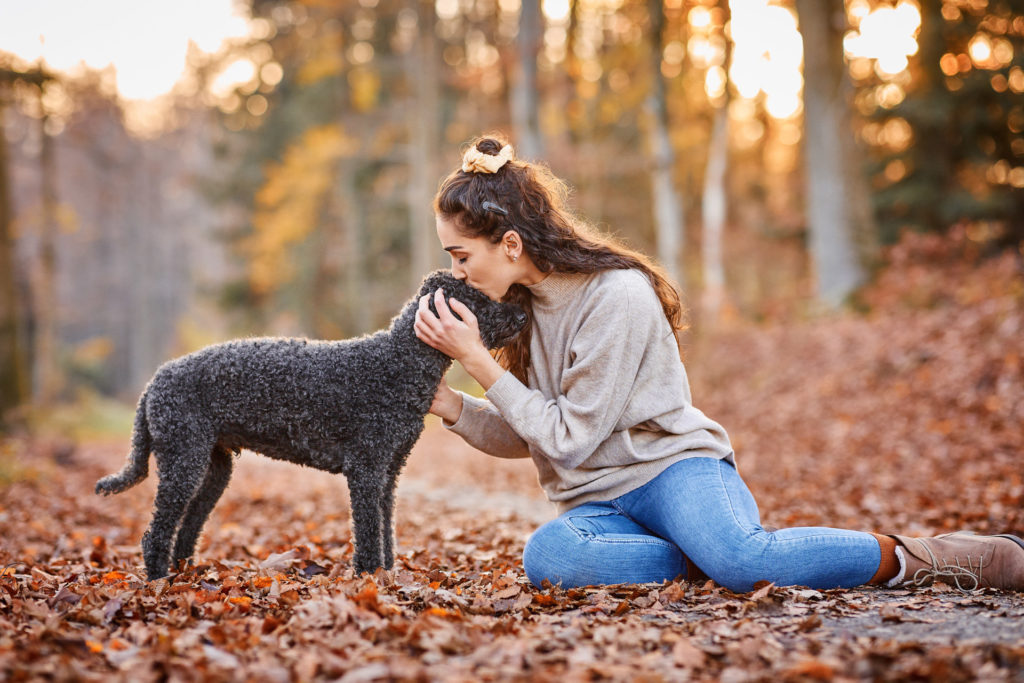 Emotionales Hunde Fotoshooting im Herbst mit Labradoodle Nicki bei Basel
