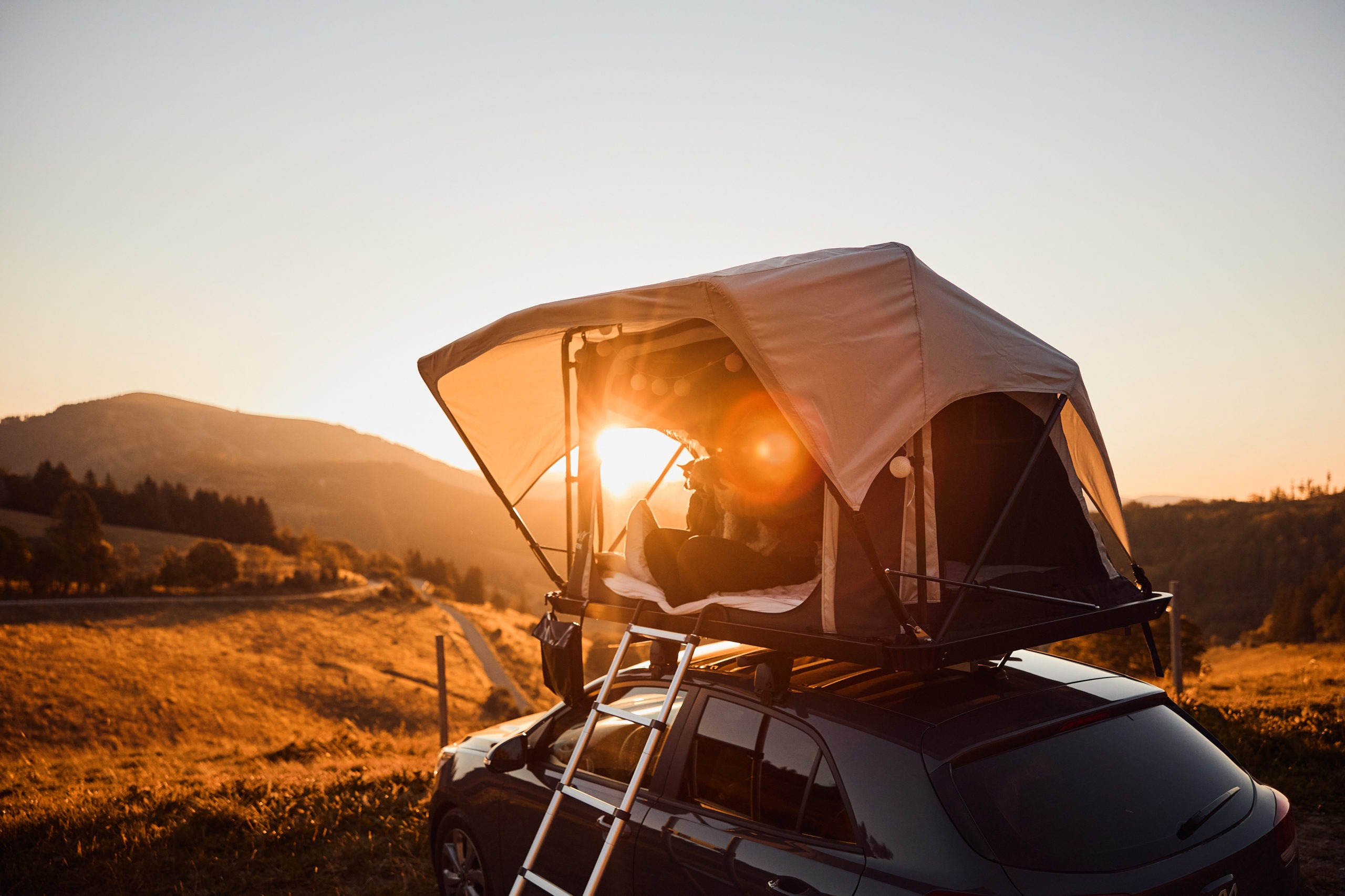Read more about the article Zubehör – Campen mit Hund