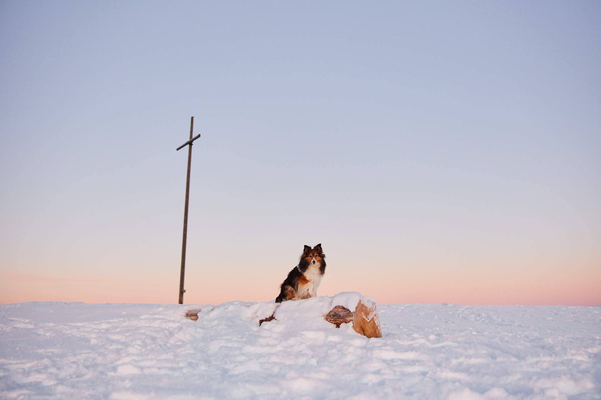 Read more about the article Wanderung zum Sonnenaufgang auf das Herzogenhorn (Schwarzwald)