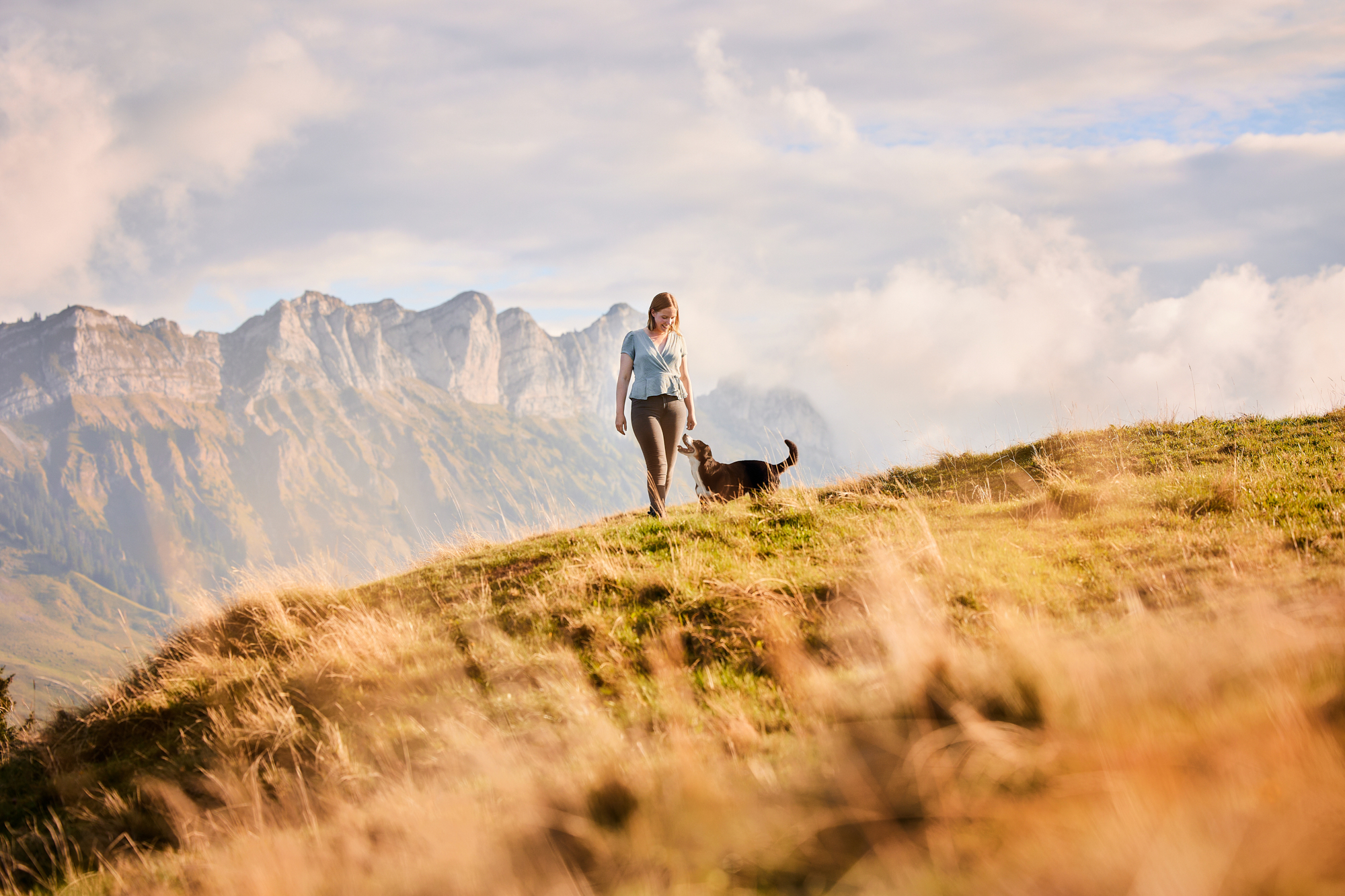 Entlebucher Sennenhund mit Hundebesitzerin bei einem Fotoshooting in Entlebuch in der Schweiz im Sonnenuntergang, professionelles Hunde-Fotoshooting in der Natur
