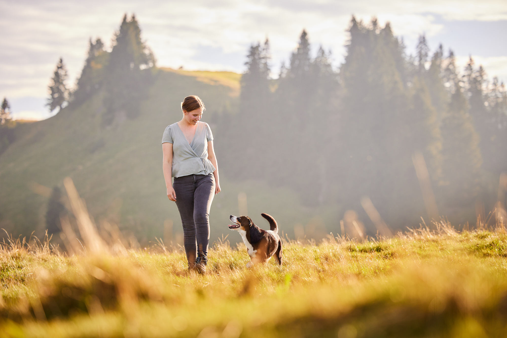 Entlebucher Sennenhund mit Hundebesitzerin bei einem Fotoshooting in Entlebuch in der Schweiz im Sonnenuntergang, professionelles Hunde-Fotoshooting in der Natur