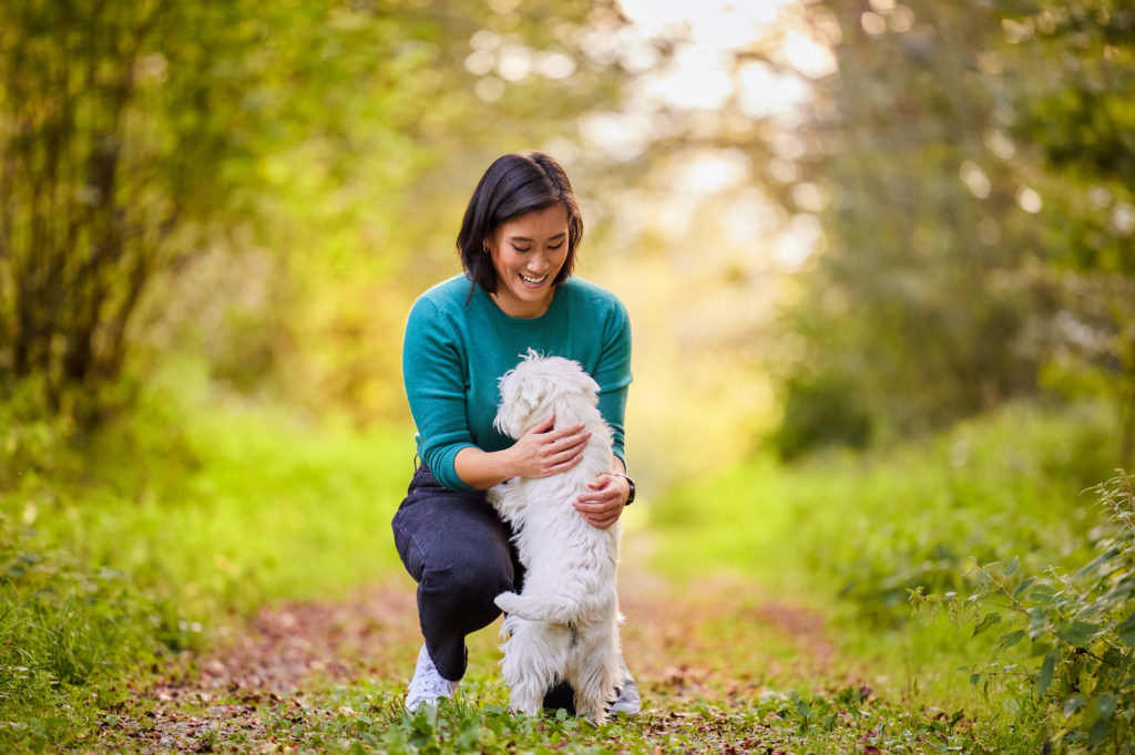 West Highland Terrier Hündin mit ihrer Hundebesitzerin im Wald bei Basel im Herbst