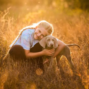 009-Raphaela-Schiller-Fotografie-Hundefotografie-Tierfotografie-Weimaraner-Welpe-Lörrach-Sonnenuntergang-Familie-Familienfotografie-Kinder-Fotoshooting