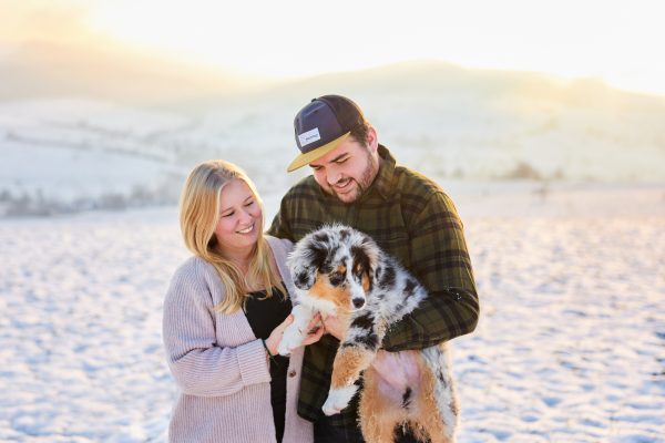 011-Raphaela-Schiller-Hundefotografie-Tierfotografie-Schwarzwald-Loerrach-Basel-Freiburg-Australian-Shepherd-Welpe