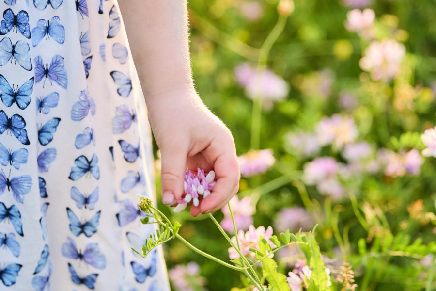 013-Raphaela-Schiller-Hundefotografie-Fotoshooting-mit-Hund-Familie-Rheinfelden-Loerrach-Basel-Familienfotograf