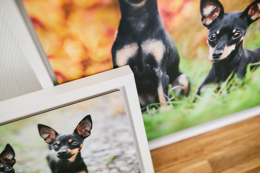 Gerahmte Aluminium Wandbilder & Fotobox