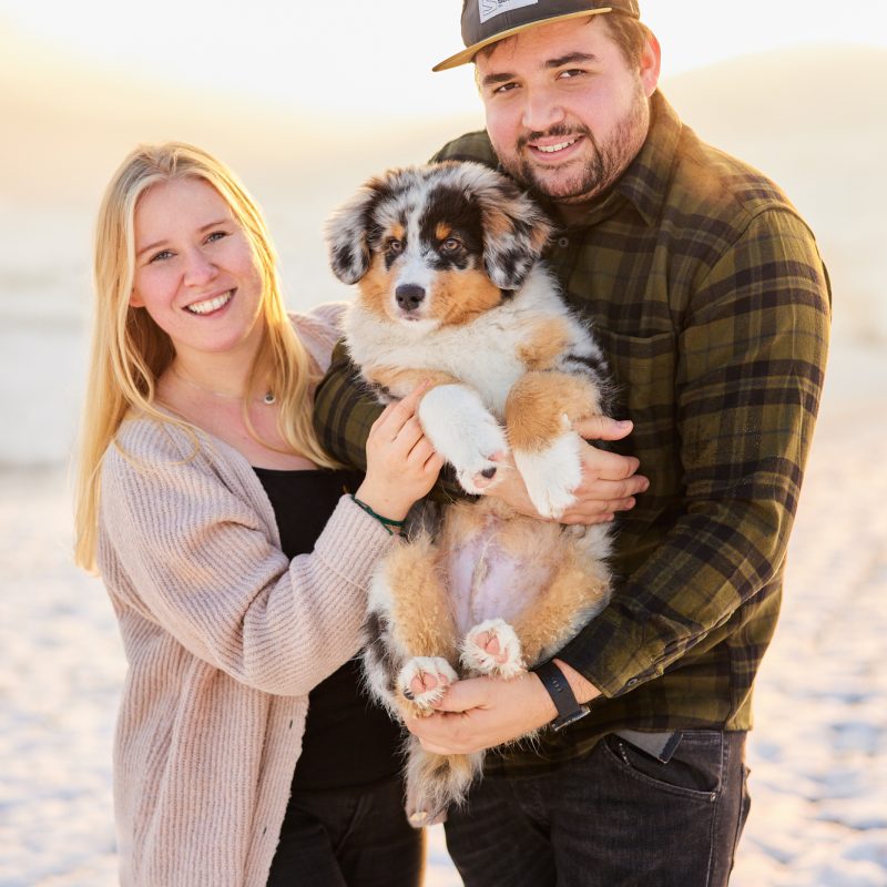 015-Raphaela-Schiller-Hundefotografie-Tierfotografie-Schwarzwald-Loerrach-Basel-Freiburg-Australian-Shepherd-Welpe