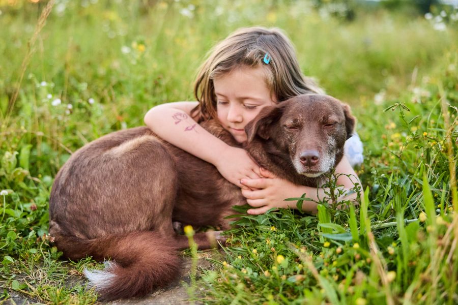 Ein Kind mit ihrer Border Collie Hündin in einer Blumenwiese