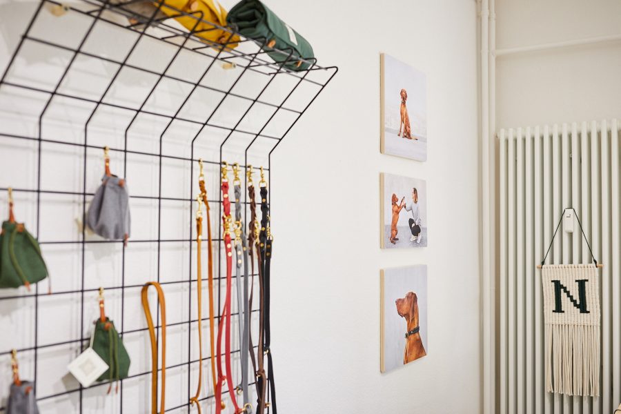 Lörrach Naturahund Organic Dog Store Nachhaltigkeit Hundefotografie Tierfotografie Fotoshooting mit Hund