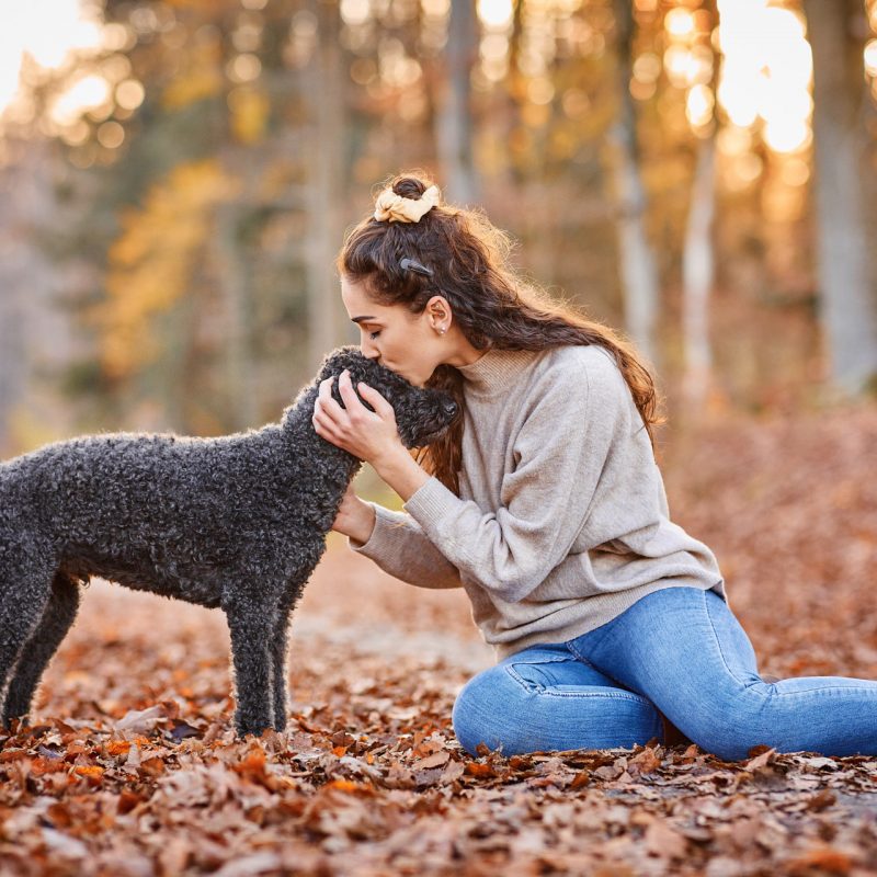16-Raphaela-Schiller-Hundefotografie-Hunde-Fotoshooting-Labradoodle-Basel-Schweiz-Tierfotografie-1