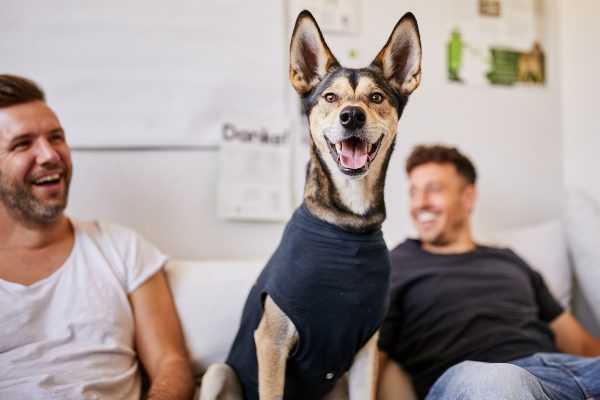 Content-Fotoshooting-Werbefotografie-Hundefotografie-Tierfotografie-Raphaela-Schiller-Basel-Loerrach-Schweiz-Freiburg-02