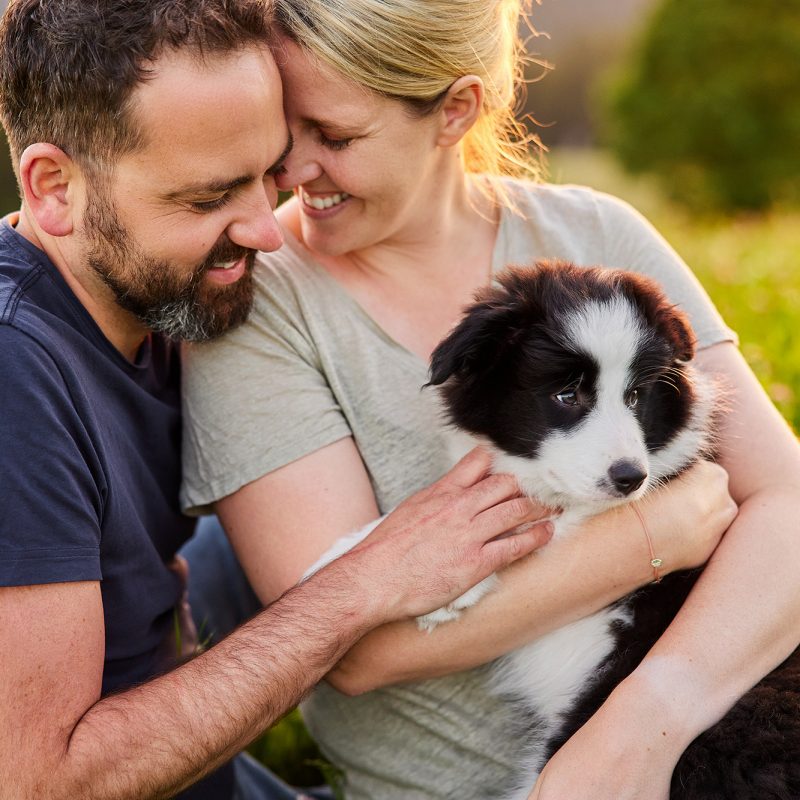Hundefotografie-Fotoshooting-mit-Hund-Border-Collie-Welpe-Sarah-Heckendorn-Lörrach-Basel-Schwarzwald-05