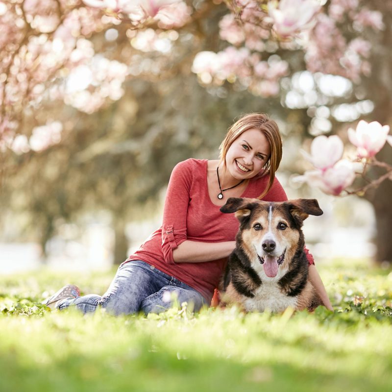 Hundefotografie-Rheinfelden-Baden-Wuerttemberg-Hundefotoshooting-27