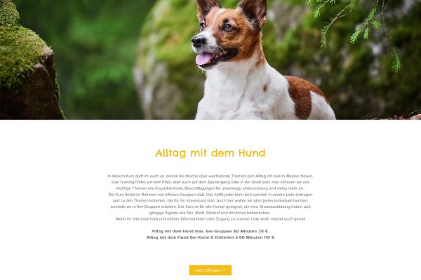 Hundefotografie-Tierfotografie-Werbefotografie-Produktfotografie-Industriefotograf-Content-Fotoshooting-Basel-Loerrach-Freiburg-Raphaela-Schiller-13
