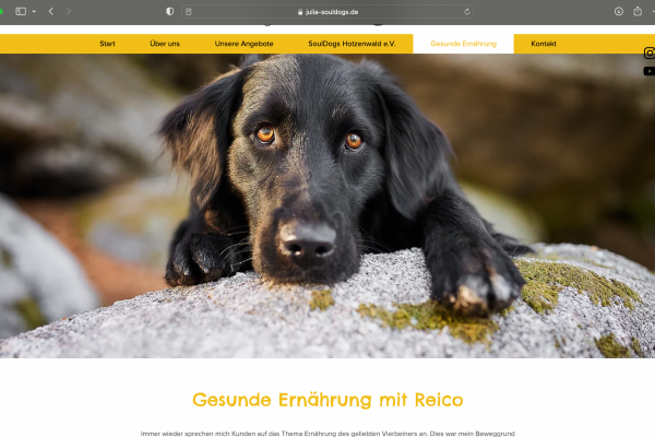 Hundefotografie-Tierfotografie-Werbefotografie-Produktfotografie-Industriefotograf-Content-Fotoshooting-Basel-Loerrach-Freiburg-Raphaela-Schiller-17