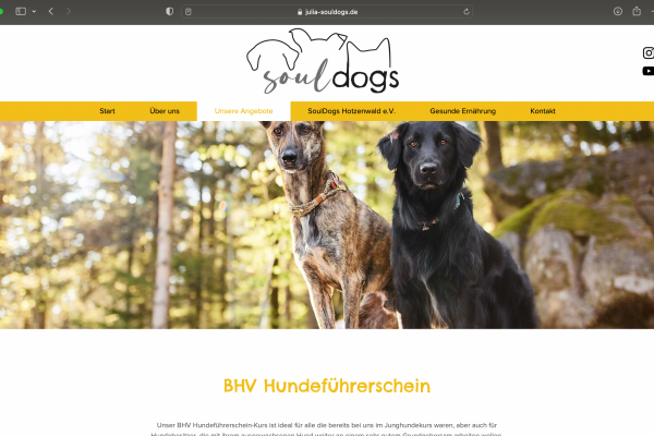 Hundefotografie-Tierfotografie-Werbefotografie-Produktfotografie-Industriefotograf-Content-Fotoshooting-Basel-Loerrach-Freiburg-Raphaela-Schiller-18