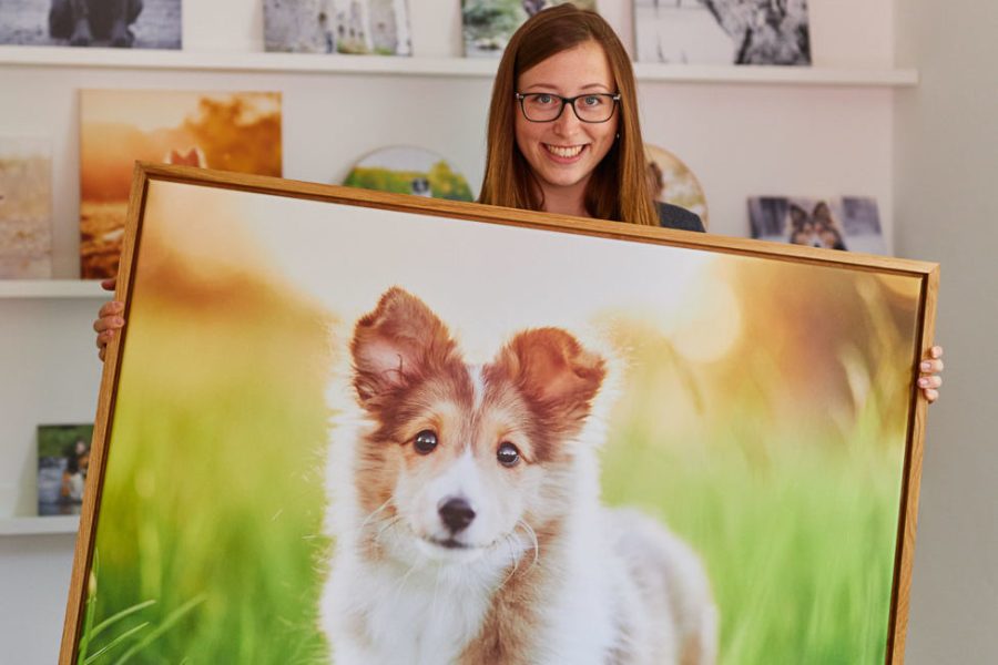 Leinwände-Hundefotografie-Raphaela-Schiller
