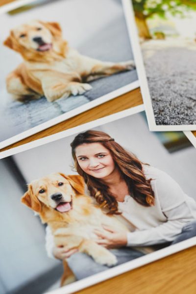 Raphaela-Schiller-Hundefotografie-Produktfotogalerie-Inspirationen-11 Fine-Art Prints