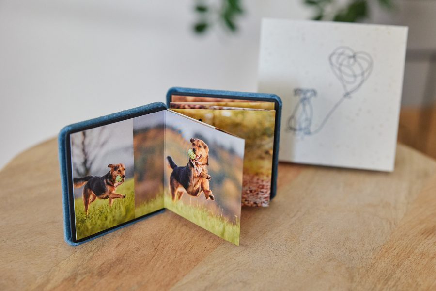 Mini Leporello