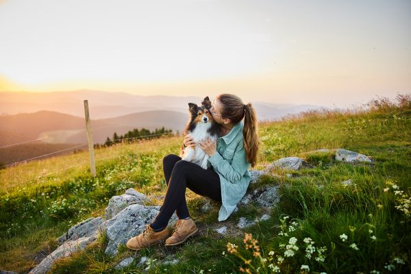 Raphaela-Schiller-Hundefotografie-Tierfotografie-Schwarzwald-Hund-Belchen-Wandern-Feldberg-Fotoshooting-Fotos-Shetland-Sheepdog-Sheltie