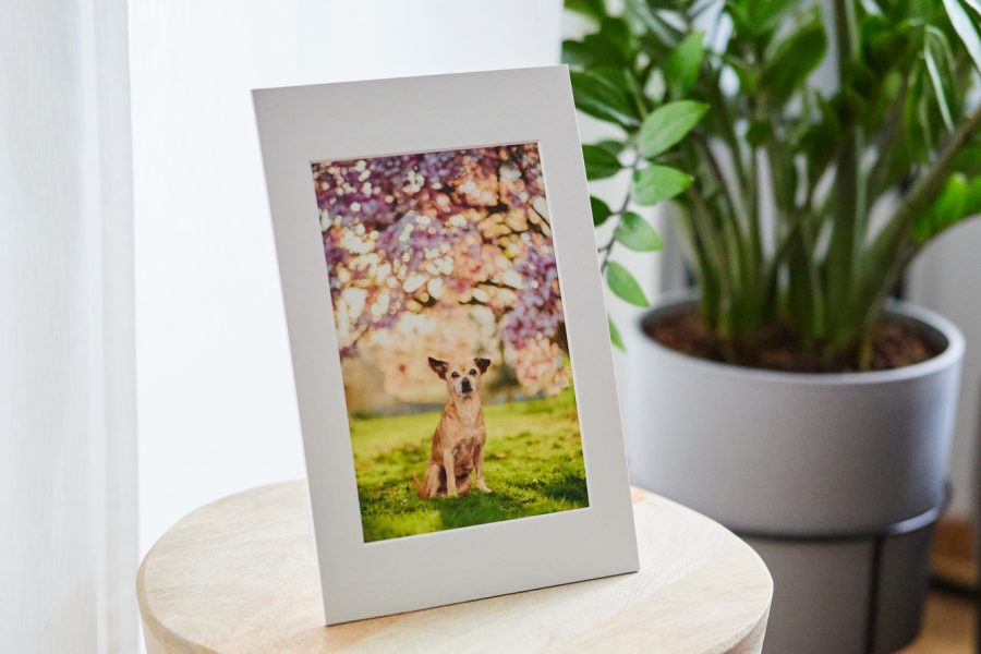 Passepartout mit Fine-Art Oberfläche