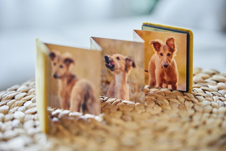 Mini Leporello
