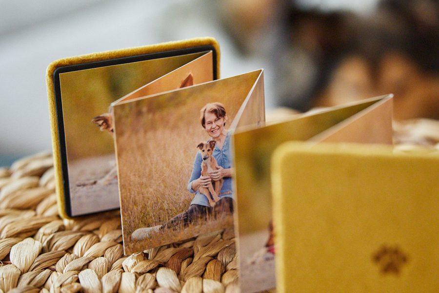 Mini Leporello